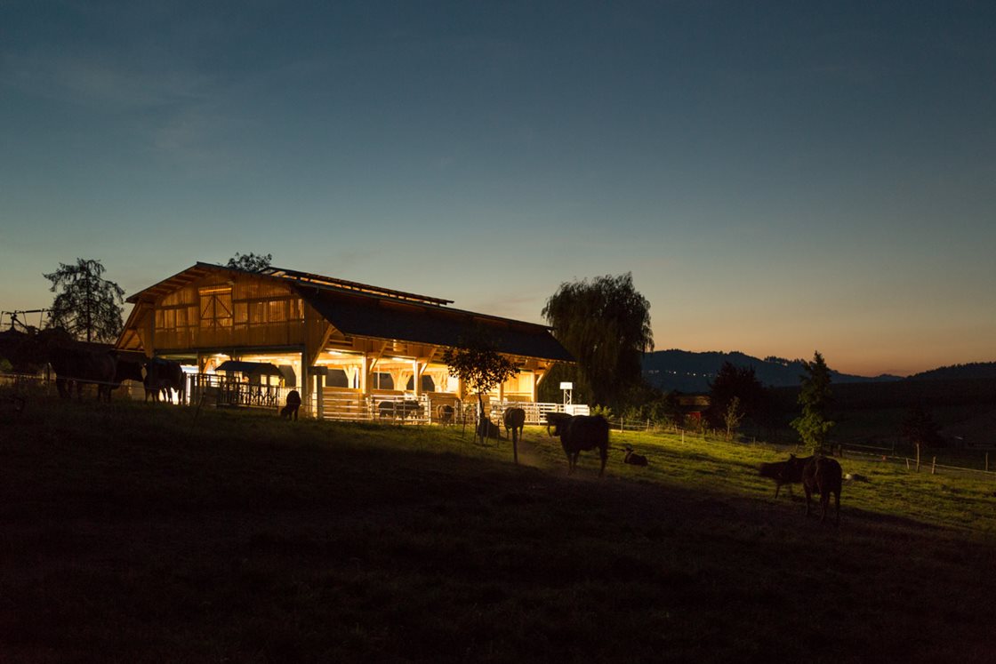 Wagyu-Stall bei Nacht © Stefan Gruber