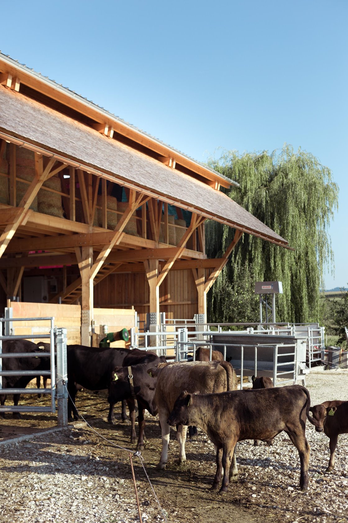 Freibereich (außen) und Liegebereich (innen) © Stefan Gruber